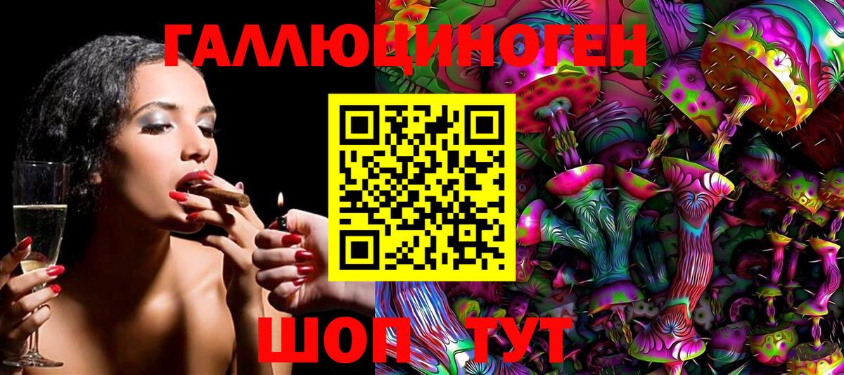 Выборг  Галлюциногенные грибы Psilocybine cubensis  Вход с VPN 