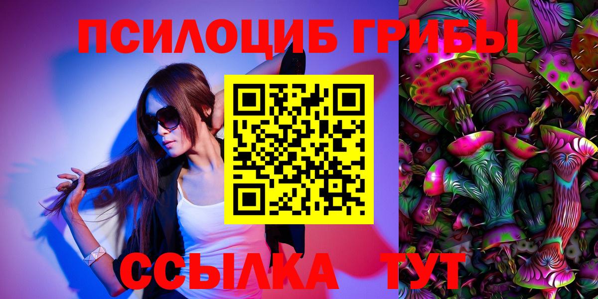 Псилоцибиновые грибы Cubensis Выборг